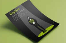 LLEGIDES